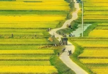 8 ĐỊA ĐIỂM DU LỊCH ĐẸP NHƯ TRANH VẼ